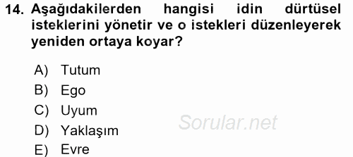 Çocuk Gelişiminde Alan Çalışmaları 2017 - 2018 Ara Sınavı 14.Soru