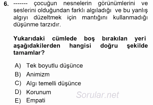 Çocuk Gelişiminde Alan Çalışmaları 2017 - 2018 Ara Sınavı 6.Soru