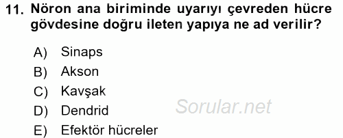 Temel Veteriner Farmakoloji ve Toksikoloji 2016 - 2017 Ara Sınavı 11.Soru