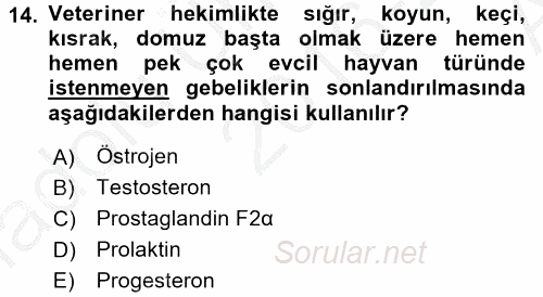 Temel Veteriner Farmakoloji ve Toksikoloji 2016 - 2017 Ara Sınavı 14.Soru