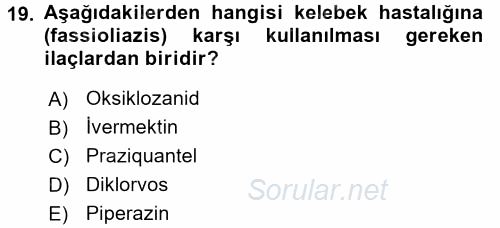 Temel Veteriner Farmakoloji ve Toksikoloji 2016 - 2017 Ara Sınavı 19.Soru