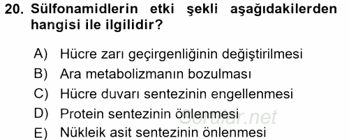 Temel Veteriner Farmakoloji ve Toksikoloji 2016 - 2017 Ara Sınavı 20.Soru