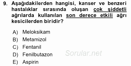 Temel Veteriner Farmakoloji ve Toksikoloji 2016 - 2017 Ara Sınavı 9.Soru