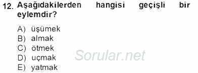 Türkçe Biçim Bilgisi 2014 - 2015 Dönem Sonu Sınavı 12.Soru