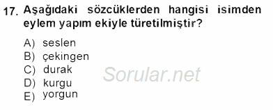 Türkçe Biçim Bilgisi 2014 - 2015 Dönem Sonu Sınavı 17.Soru