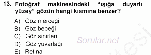 Temel Fotoğrafçılık 2012 - 2013 Ara Sınavı 13.Soru