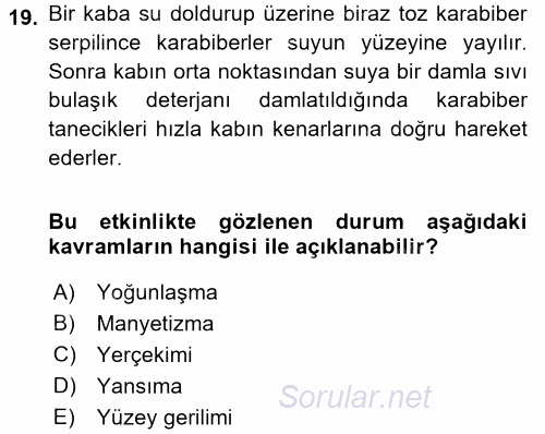 Okulöncesinde Fen Eğitimi 2015 - 2016 Tek Ders Sınavı 19.Soru