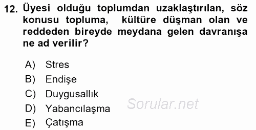 Örgütsel Davranış 2016 - 2017 Dönem Sonu Sınavı 12.Soru