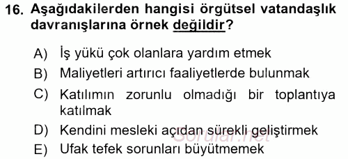 Örgütsel Davranış 2016 - 2017 Dönem Sonu Sınavı 16.Soru