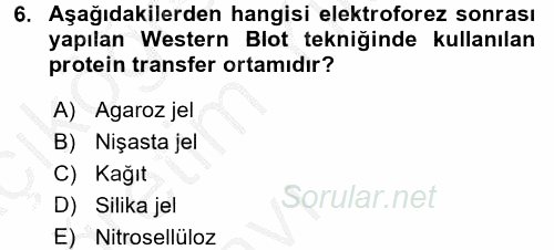 Veteriner Laboratuvar Teknikleri ve Prensipleri 2016 - 2017 3 Ders Sınavı 6.Soru