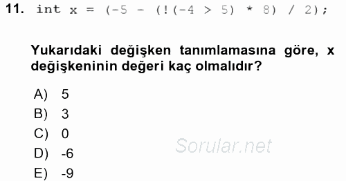 Bilgisayar Ve Programlamaya Giriş 2017 - 2018 Dönem Sonu Sınavı 11.Soru