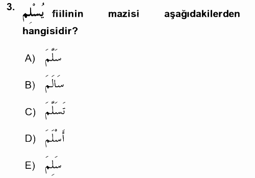 Arapça 3 2017 - 2018 3 Ders Sınavı 3.Soru