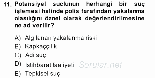 Suç Sosyolojisi 2013 - 2014 Tek Ders Sınavı 11.Soru