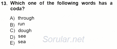 Dilbilim 1 2012 - 2013 Ara Sınavı 13.Soru
