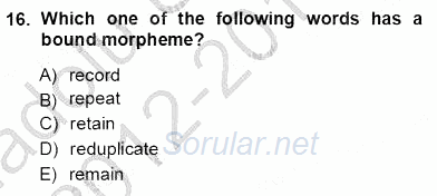 Dilbilim 1 2012 - 2013 Ara Sınavı 16.Soru