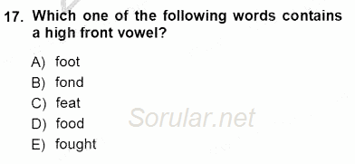 Dilbilim 1 2012 - 2013 Ara Sınavı 17.Soru