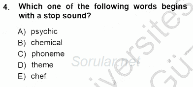 Dilbilim 1 2012 - 2013 Ara Sınavı 4.Soru