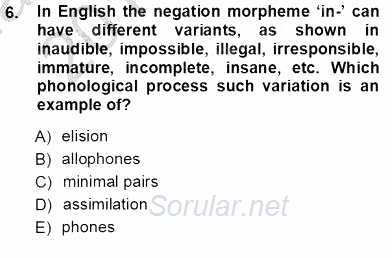 Dilbilim 1 2012 - 2013 Ara Sınavı 6.Soru