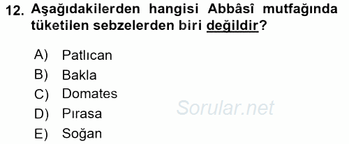 İslam Tarihi ve Medeniyeti 2 2017 - 2018 Dönem Sonu Sınavı 12.Soru