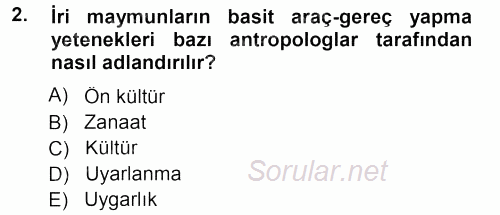 Antropoloji 2012 - 2013 Dönem Sonu Sınavı 2.Soru