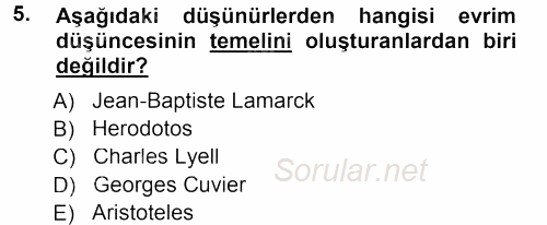 Antropoloji 2012 - 2013 Dönem Sonu Sınavı 5.Soru