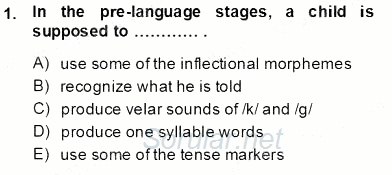 Dilbilim 2 2013 - 2014 Tek Ders Sınavı 1.Soru