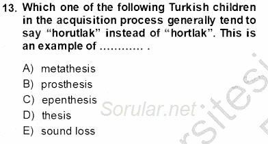 Dilbilim 2 2013 - 2014 Tek Ders Sınavı 13.Soru