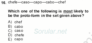 Dilbilim 2 2013 - 2014 Tek Ders Sınavı 16.Soru