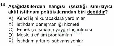 İstihdam ve İşsizlik 2012 - 2013 Dönem Sonu Sınavı 14.Soru