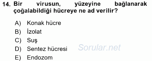 Viroloji 2016 - 2017 Ara Sınavı 14.Soru