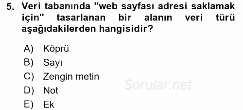 Dış Ticarette Bilgisayar Uygulamaları 2016 - 2017 Dönem Sonu Sınavı 5.Soru