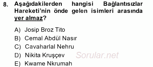 Gelişmekte Olan Ülkelerde Siyaset 2013 - 2014 Ara Sınavı 8.Soru