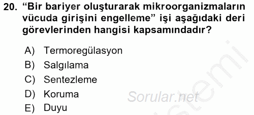 Yaşlı Bakımı İlke Ve Uygulamaları 2016 - 2017 Ara Sınavı 20.Soru