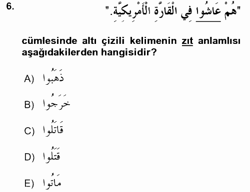 Arapça 2 2016 - 2017 3 Ders Sınavı 6.Soru