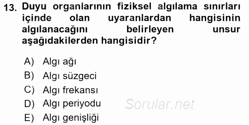 Kültürlerarası İletişim 2016 - 2017 Ara Sınavı 13.Soru