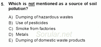 Okuma Ve Yazma Becerileri 1 2014 - 2015 Dönem Sonu Sınavı 5.Soru