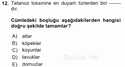 Veteriner Mikrobiyoloji ve Epidemiyoloji 2017 - 2018 Dönem Sonu Sınavı 12.Soru