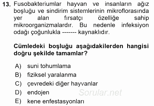 Veteriner Mikrobiyoloji ve Epidemiyoloji 2017 - 2018 Dönem Sonu Sınavı 13.Soru