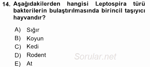 Veteriner Mikrobiyoloji ve Epidemiyoloji 2017 - 2018 Dönem Sonu Sınavı 14.Soru