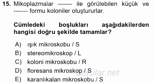 Veteriner Mikrobiyoloji ve Epidemiyoloji 2017 - 2018 Dönem Sonu Sınavı 15.Soru