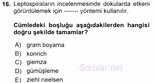 Veteriner Mikrobiyoloji ve Epidemiyoloji 2017 - 2018 Dönem Sonu Sınavı 16.Soru