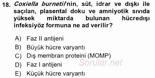 Veteriner Mikrobiyoloji ve Epidemiyoloji 2017 - 2018 Dönem Sonu Sınavı 18.Soru