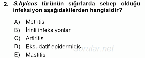 Veteriner Mikrobiyoloji ve Epidemiyoloji 2017 - 2018 Dönem Sonu Sınavı 2.Soru