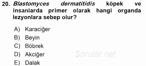 Veteriner Mikrobiyoloji ve Epidemiyoloji 2017 - 2018 Dönem Sonu Sınavı 20.Soru