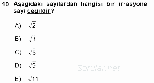 Matematik 1 2017 - 2018 Ara Sınavı 10.Soru