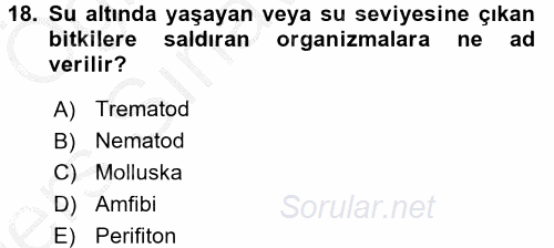 Temel Veteriner Farmakoloji ve Toksikoloji 2016 - 2017 3 Ders Sınavı 18.Soru