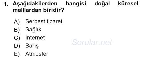 Uluslararası Kamu Maliyesi 2017 - 2018 Dönem Sonu Sınavı 1.Soru