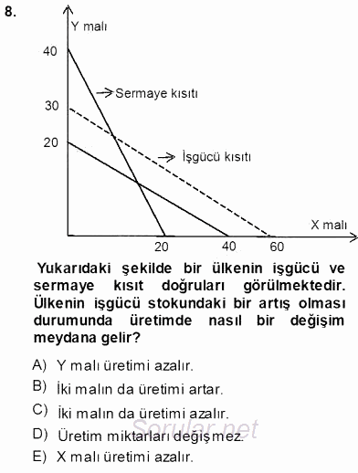 Uluslararası İktisat Teorisi 2013 - 2014 Tek Ders Sınavı 8.Soru