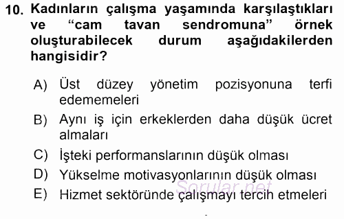 Performans ve Kariyer Yönetimi 2015 - 2016 Dönem Sonu Sınavı 10.Soru