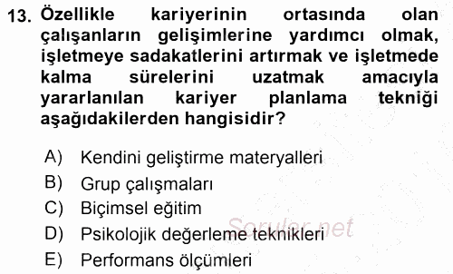 Performans ve Kariyer Yönetimi 2015 - 2016 Dönem Sonu Sınavı 13.Soru